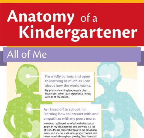 The Anatomy of a Kindergartner Infographic